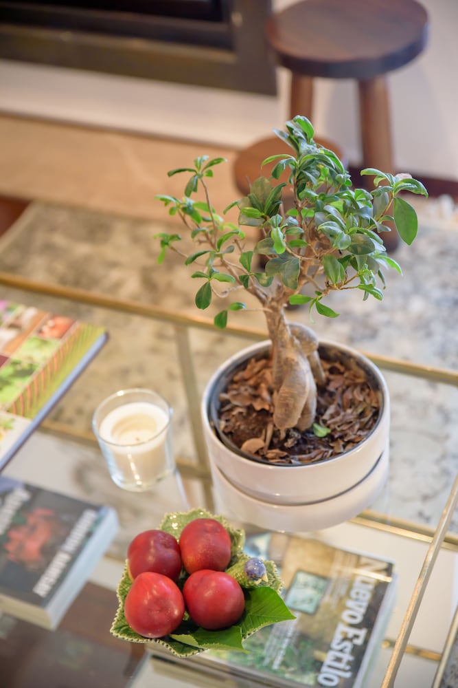 Фото Quinta do Bosque