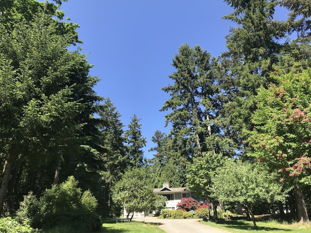 Фото Maple View Bed and Breakfast