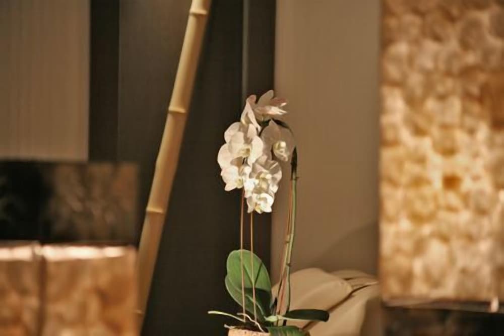 Фото Waldecker Hof