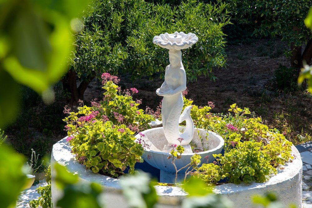 Фото Amazona Apartments