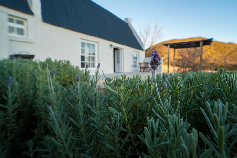 Фото De Kombuys Estate