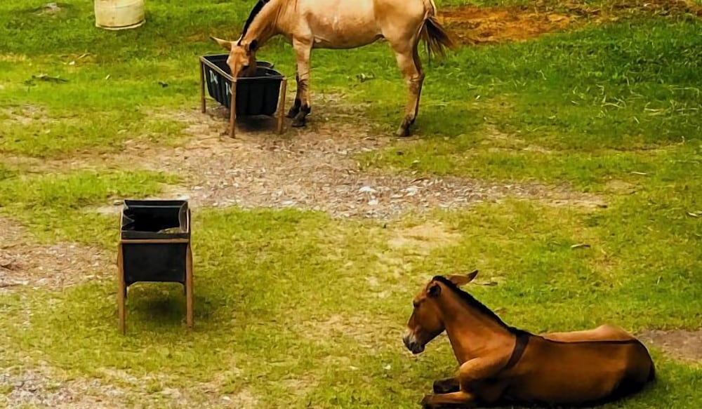 Фото Pousada Jovimar