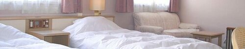 Гостиница Fukui Palace Hotel в Фукуи