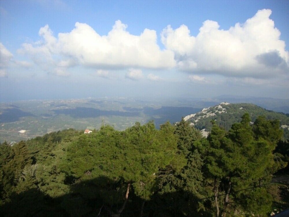 Фото Elafos Hotel