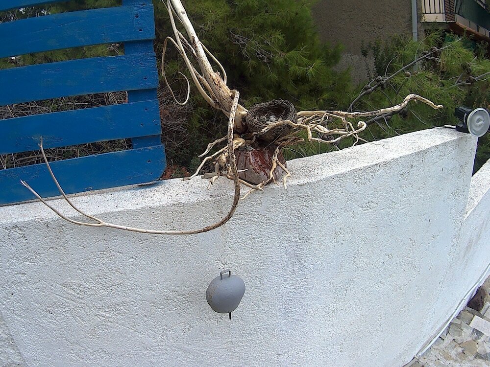 Фото Eri Studios