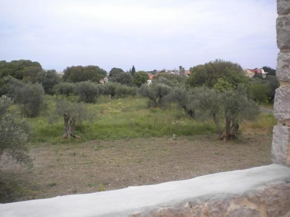 Фото Pyrgos Luxury Country Home