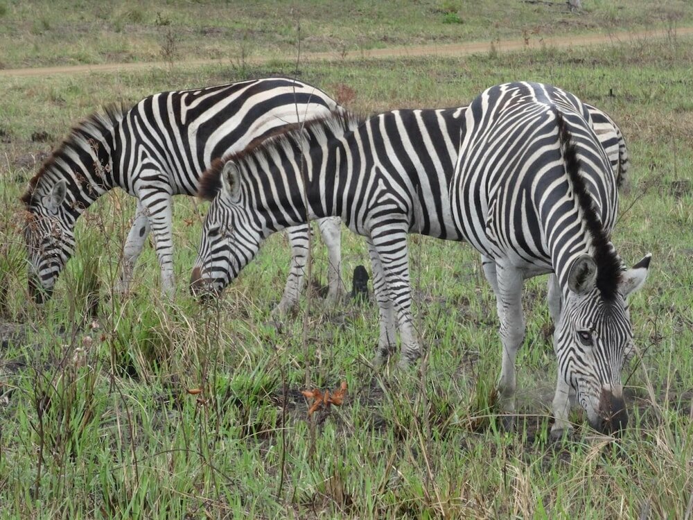 Фото Lodge Afrique