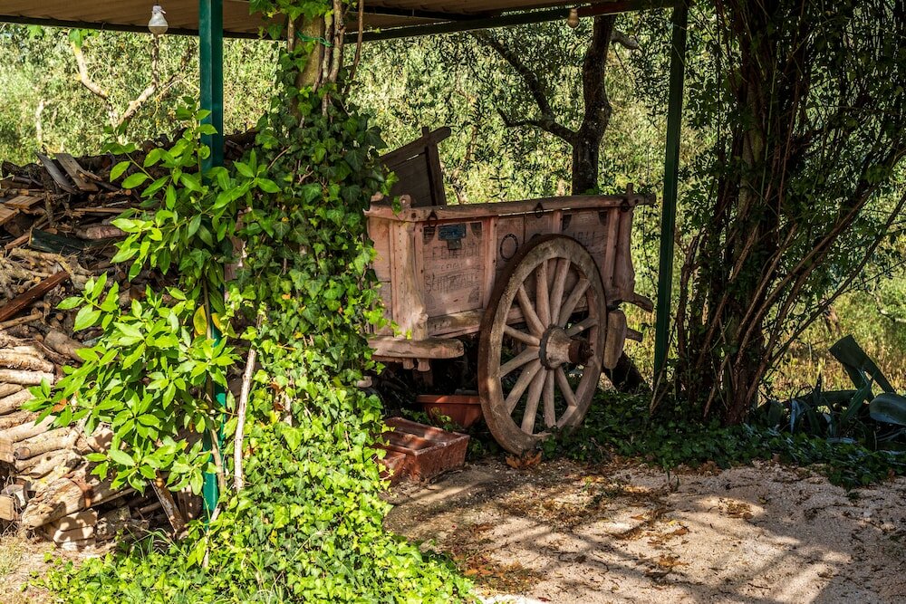 Фото Agriturismo La Fonte