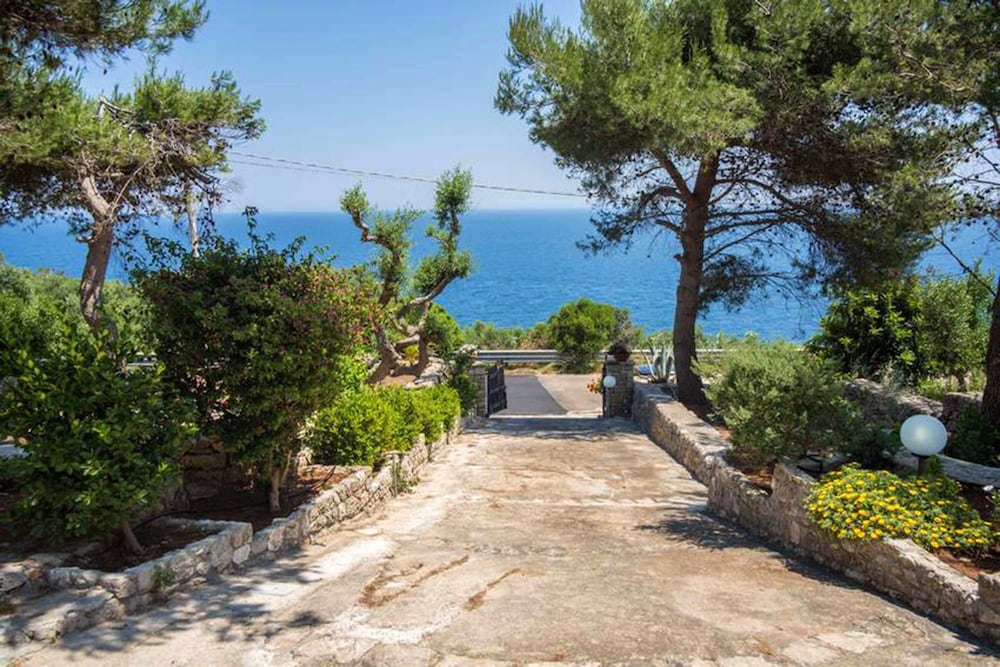 Фото Villa Scarnera