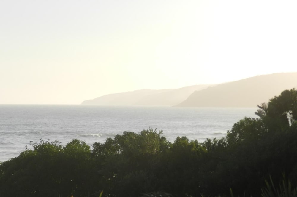Фото The Pink Lodge on the Beach