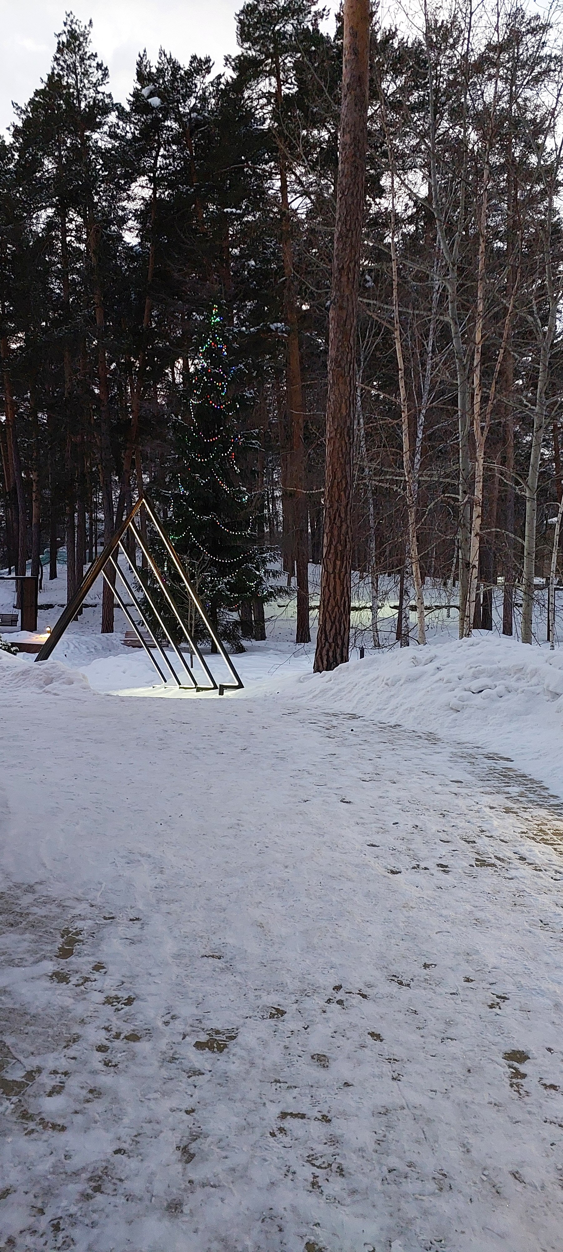 Фото 4 Апельсина