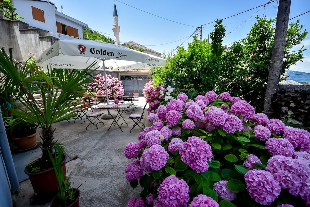 Фото Hotel Palorto