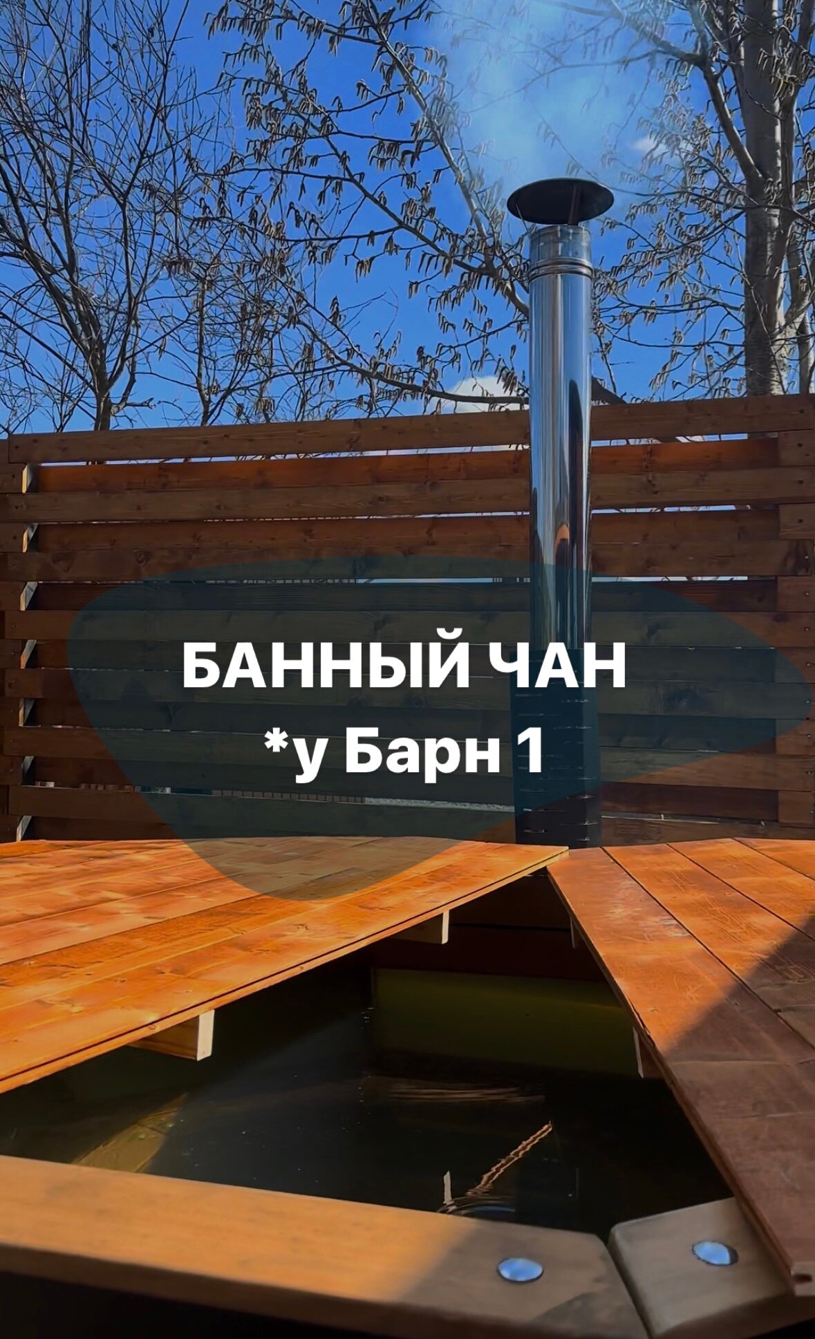 Фото Дружба