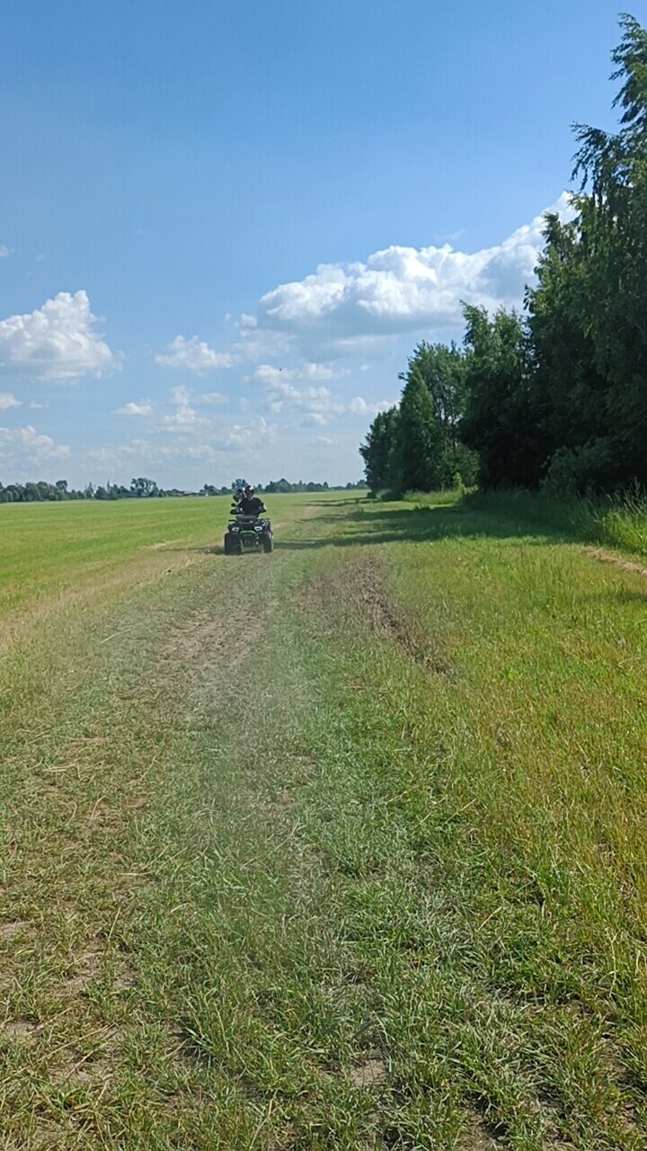 Фото Шепот Леса