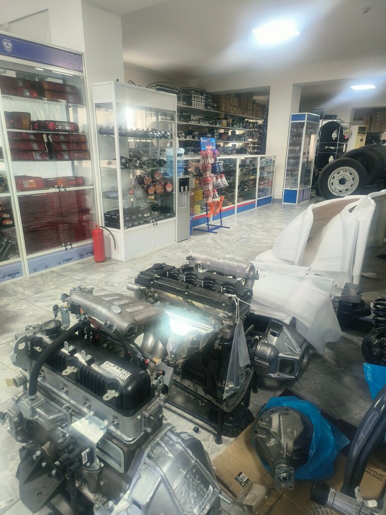 Tienda de repuestos y artículos para automóviles Auto parts and auto supplies store, , foto