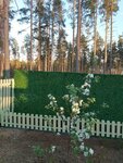 Карельская Изгородь (posyolok Voyskovitsy, kvartal Promzona № 2, 2к2), fences and barriers
