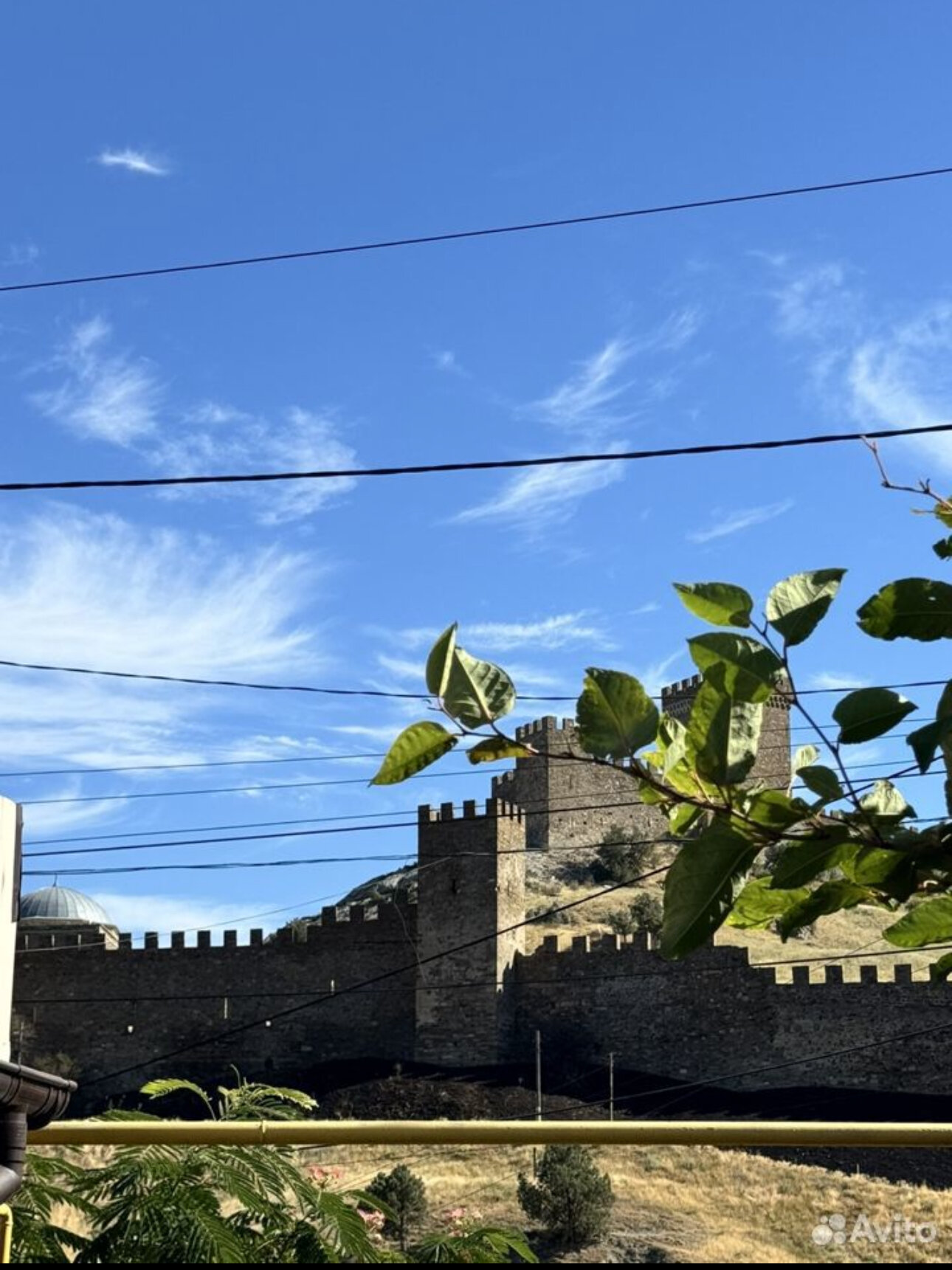 Фото У Дианы