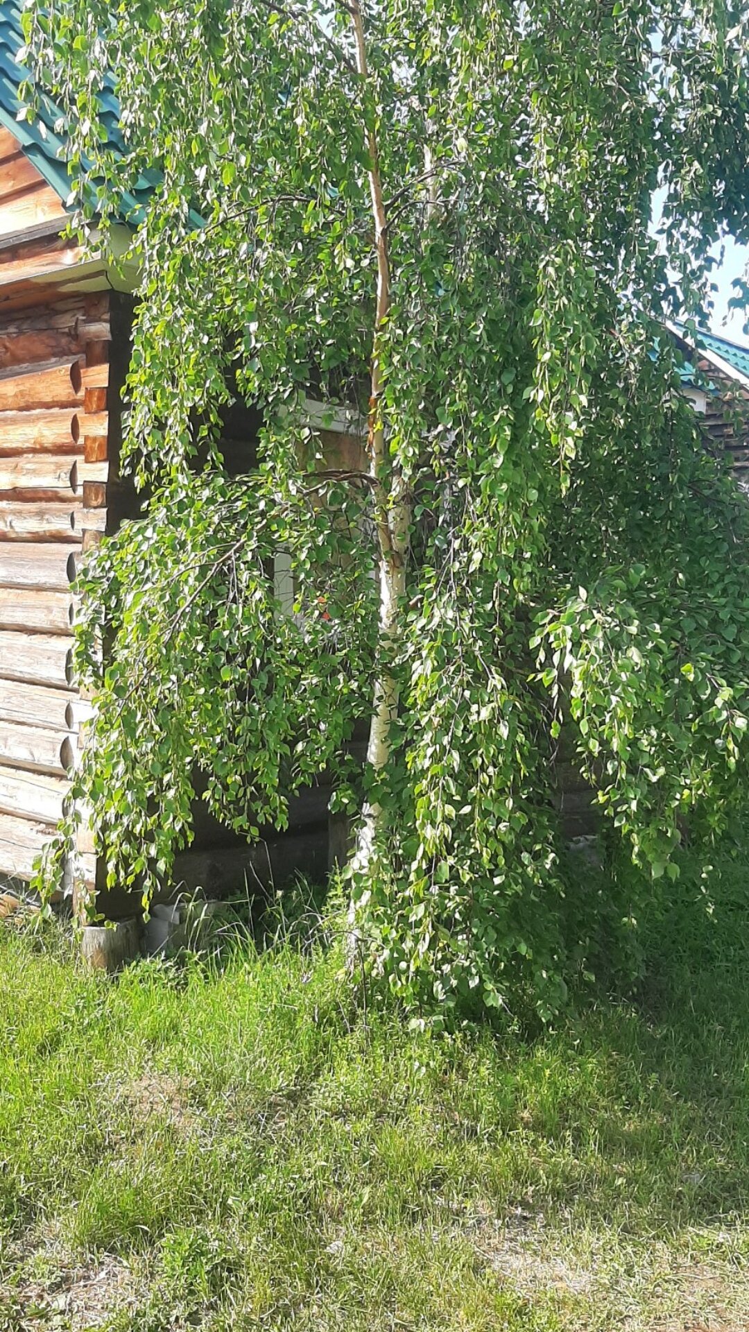 Фото Солтур