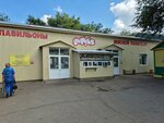 Meat Pavilion (Amangeldy Karimullin Street, 2/5Б), butcher shop