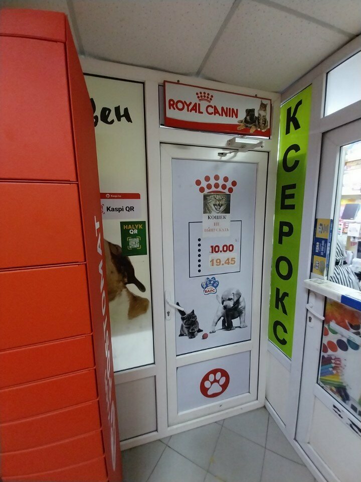 Жануарлар дүкені Бетховен, Астана, фото