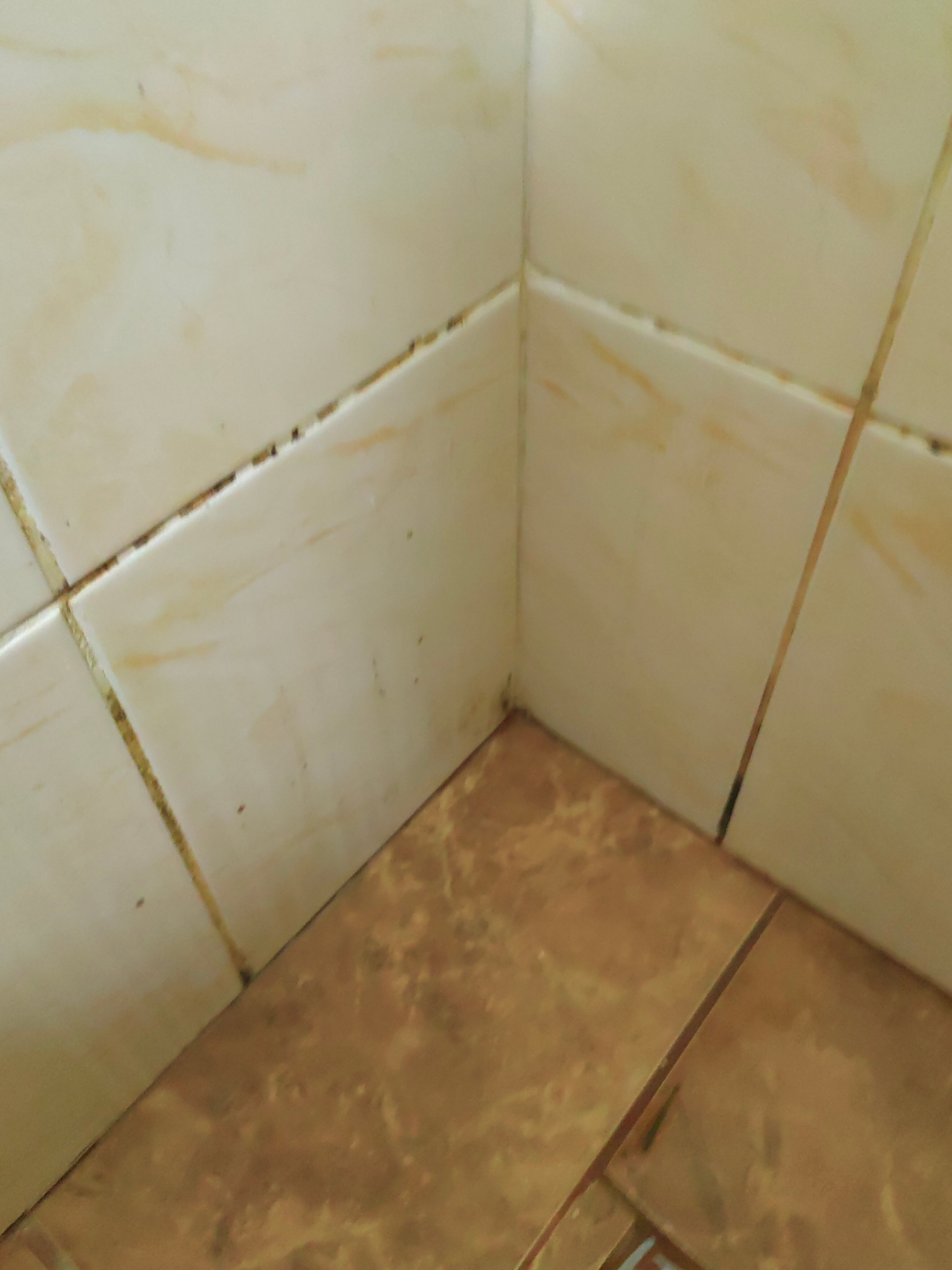 Фото У Аниты