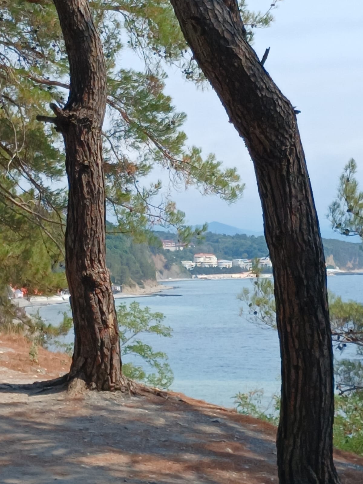 Фото Отрада