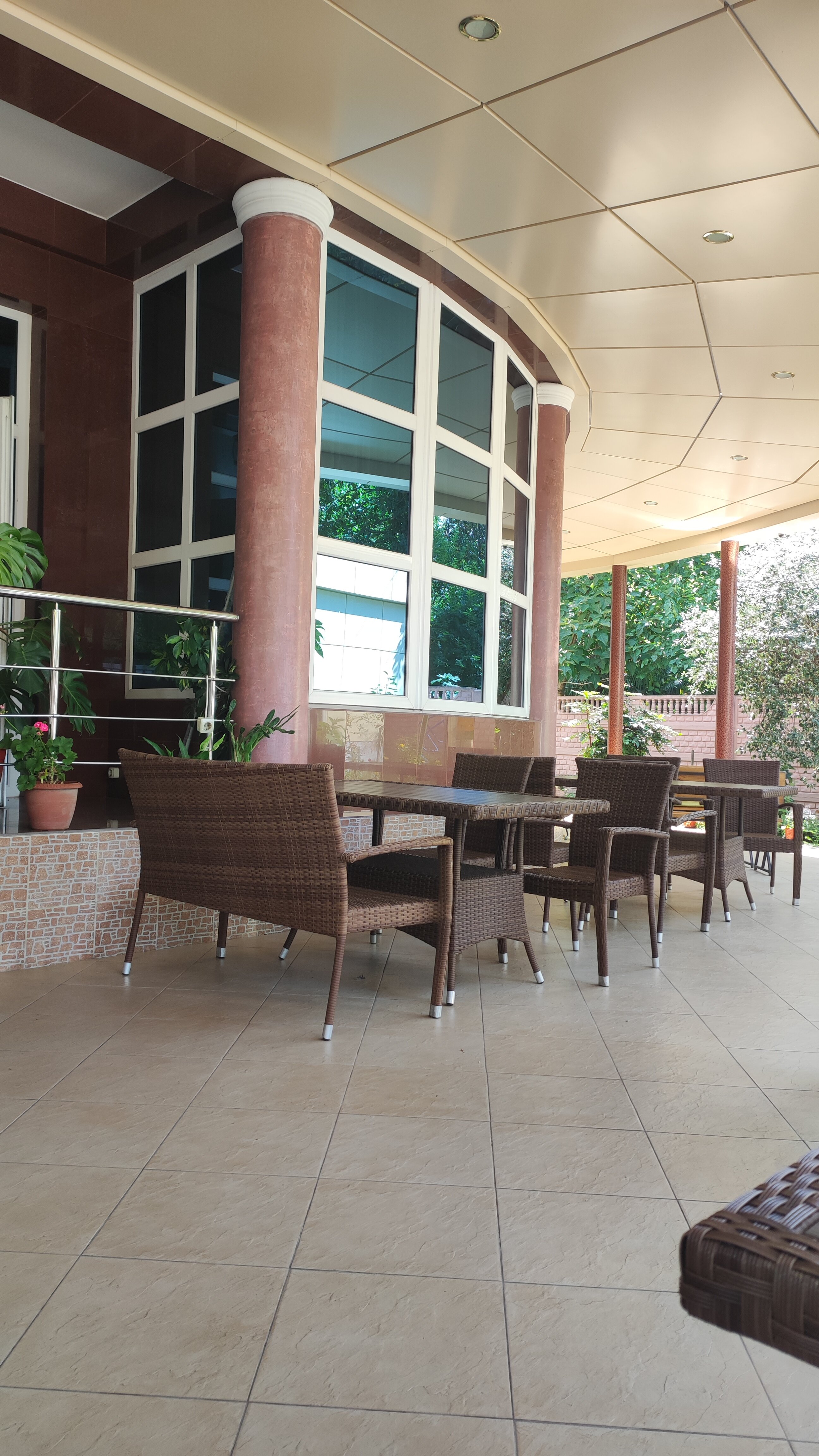 Фото Алая Роза