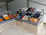 Магазин овощей и фруктов (derevnya Novoye Annino, Tsentralnaya ulitsa, 24), greengrocery