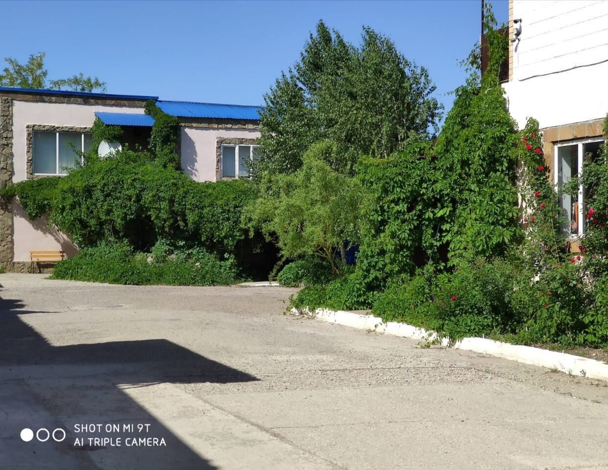 Фото София