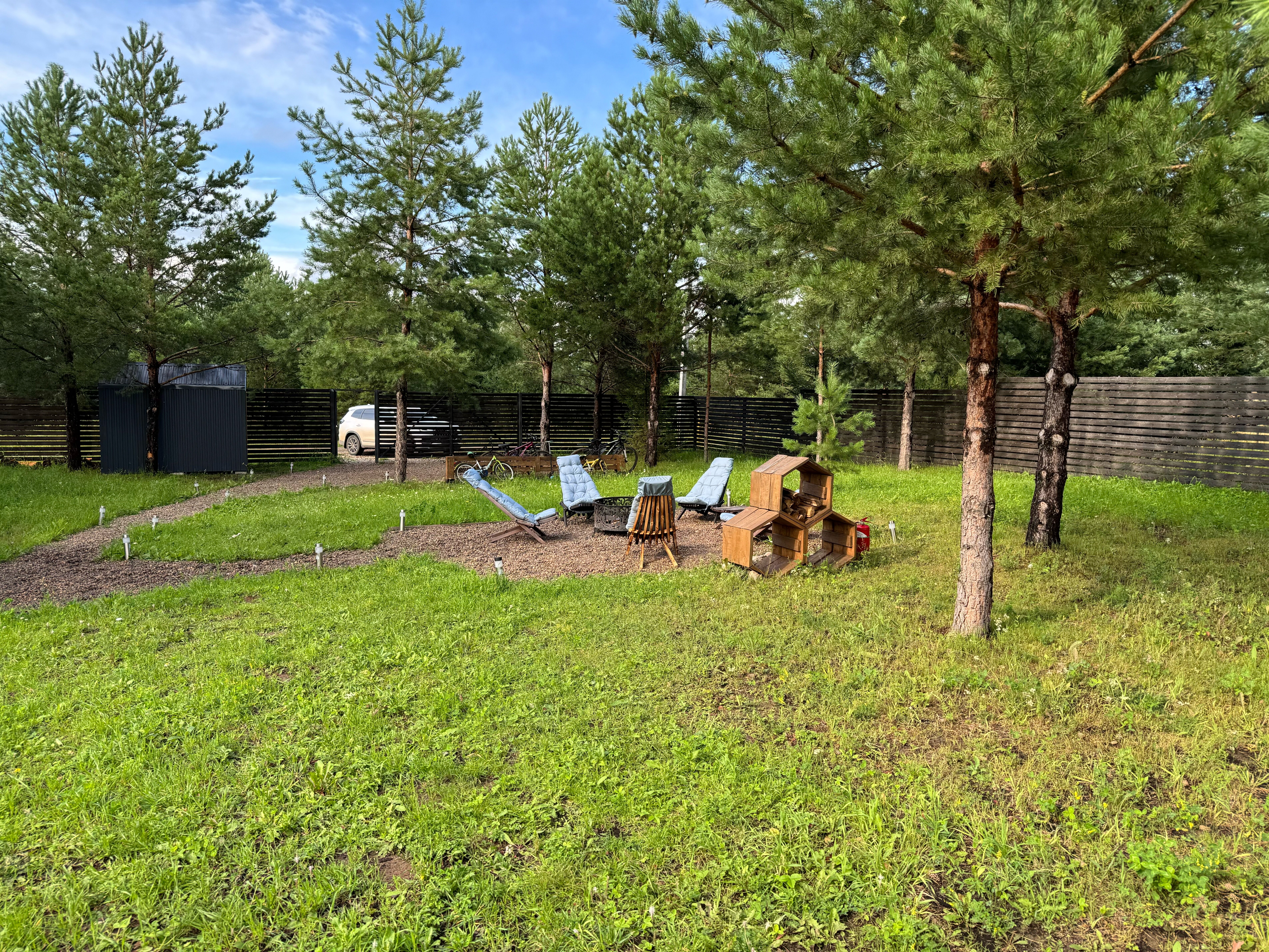 Фото На опушке