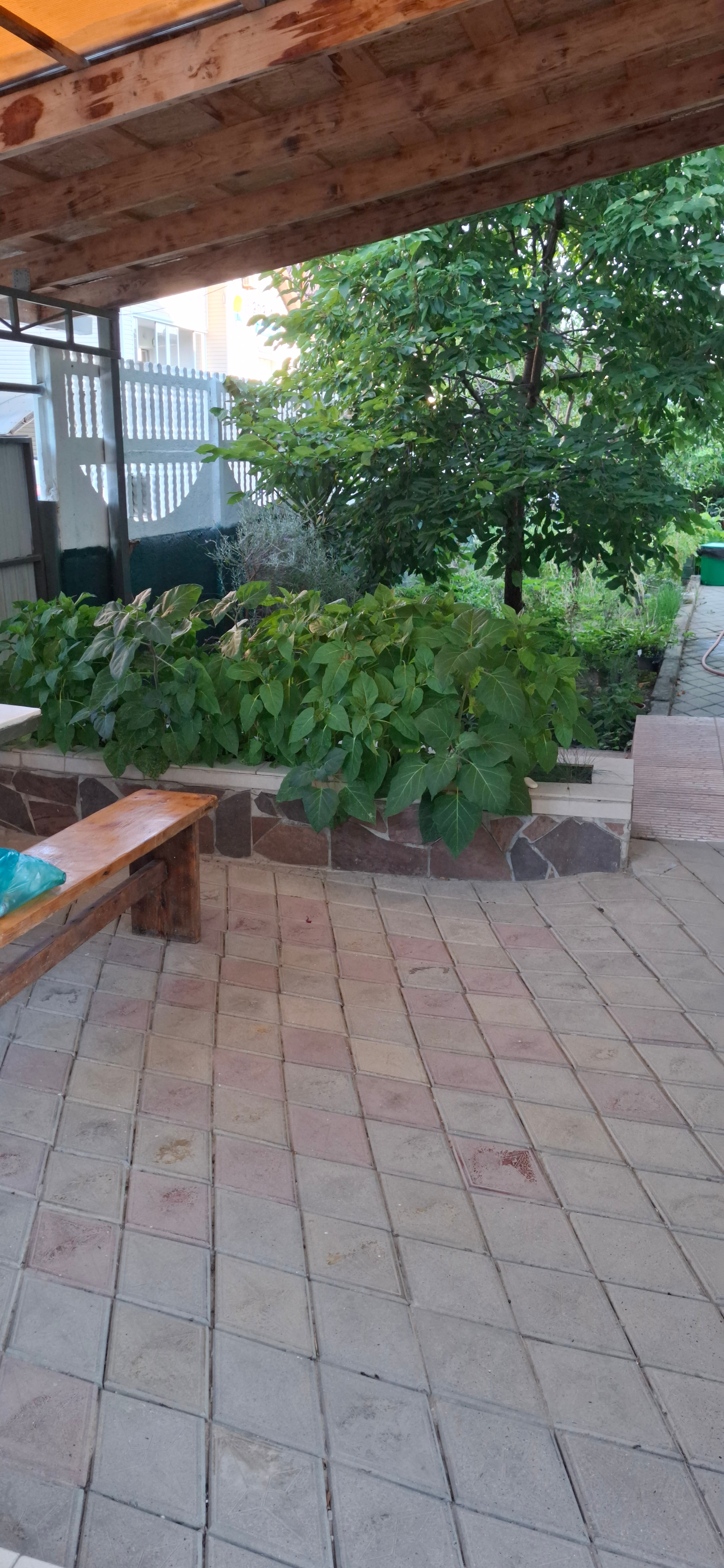 Фото Четвёртая мечта