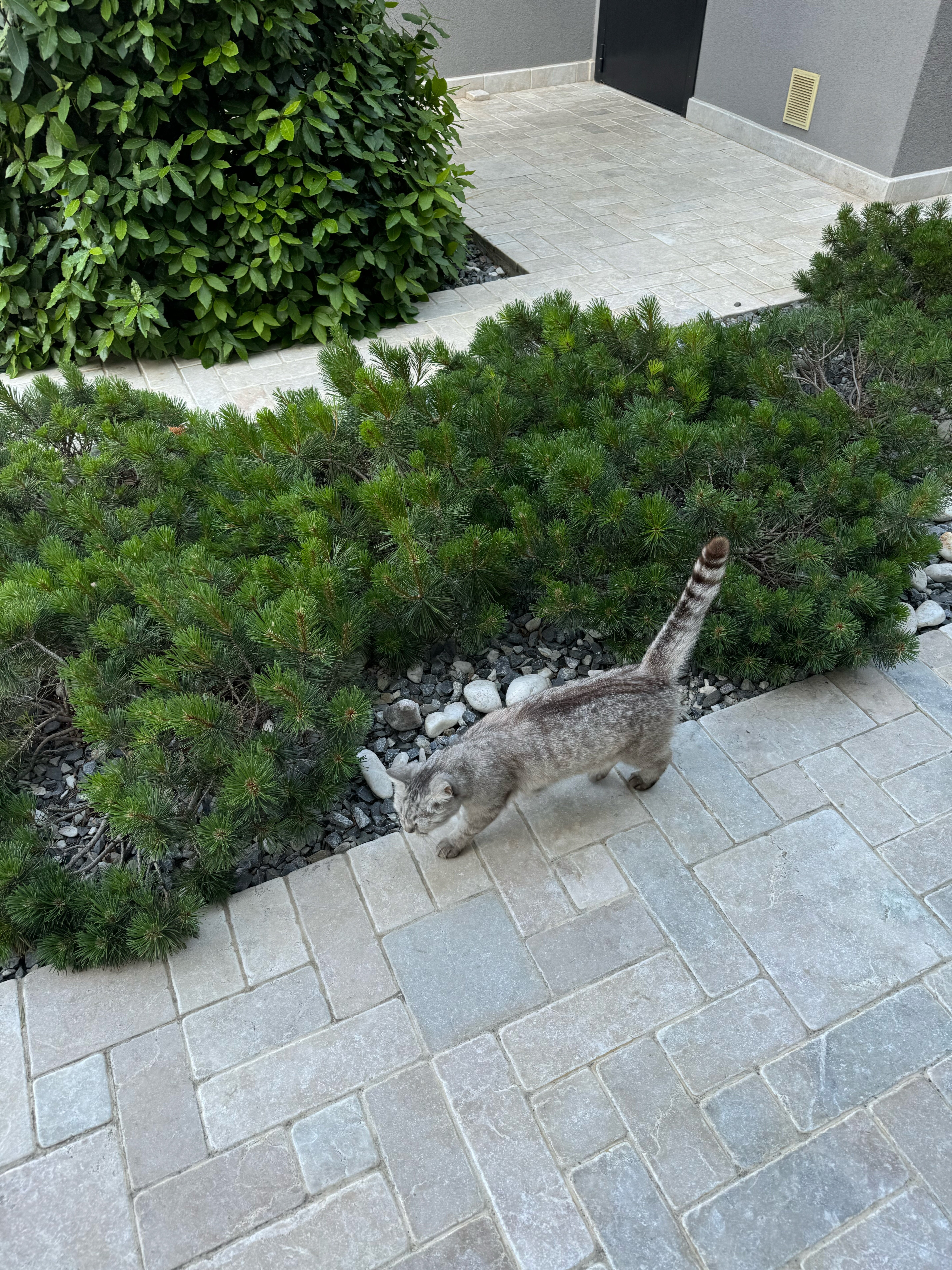 Фото Белая Терраса