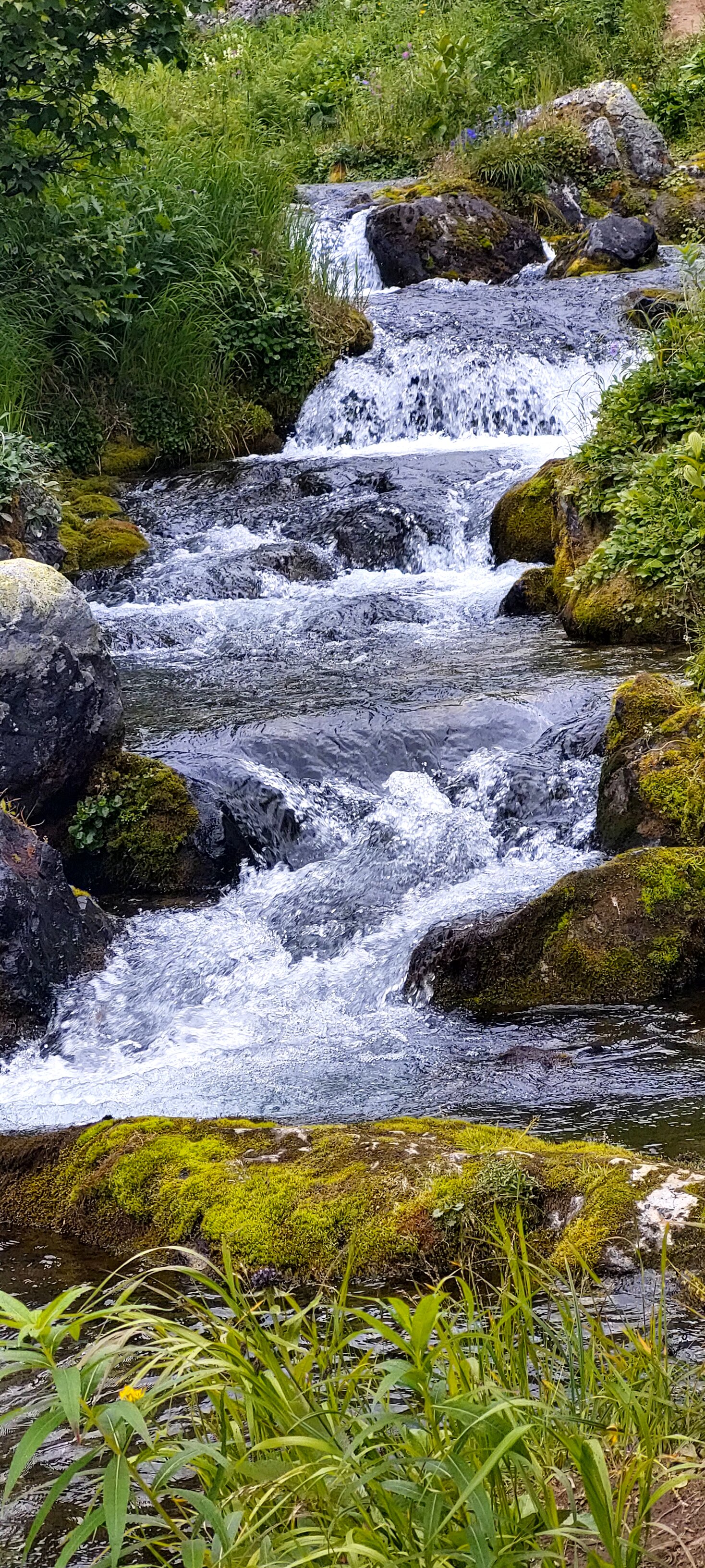 Фото Антариус