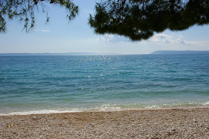 Фото Villa Andrea