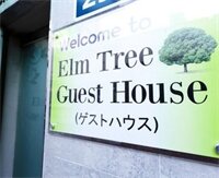 Фото Elm Tree Guest House Myeongdong