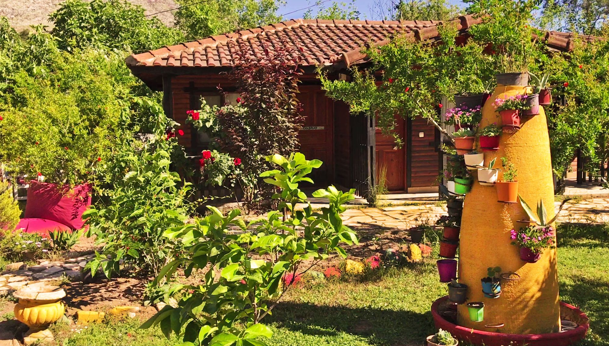 Фото Koala Bungalows