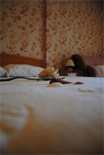 Фото Apart Hotel Villa Kukoljac