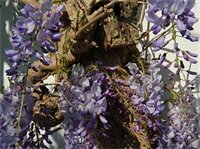 Фото St Vincent Guest House