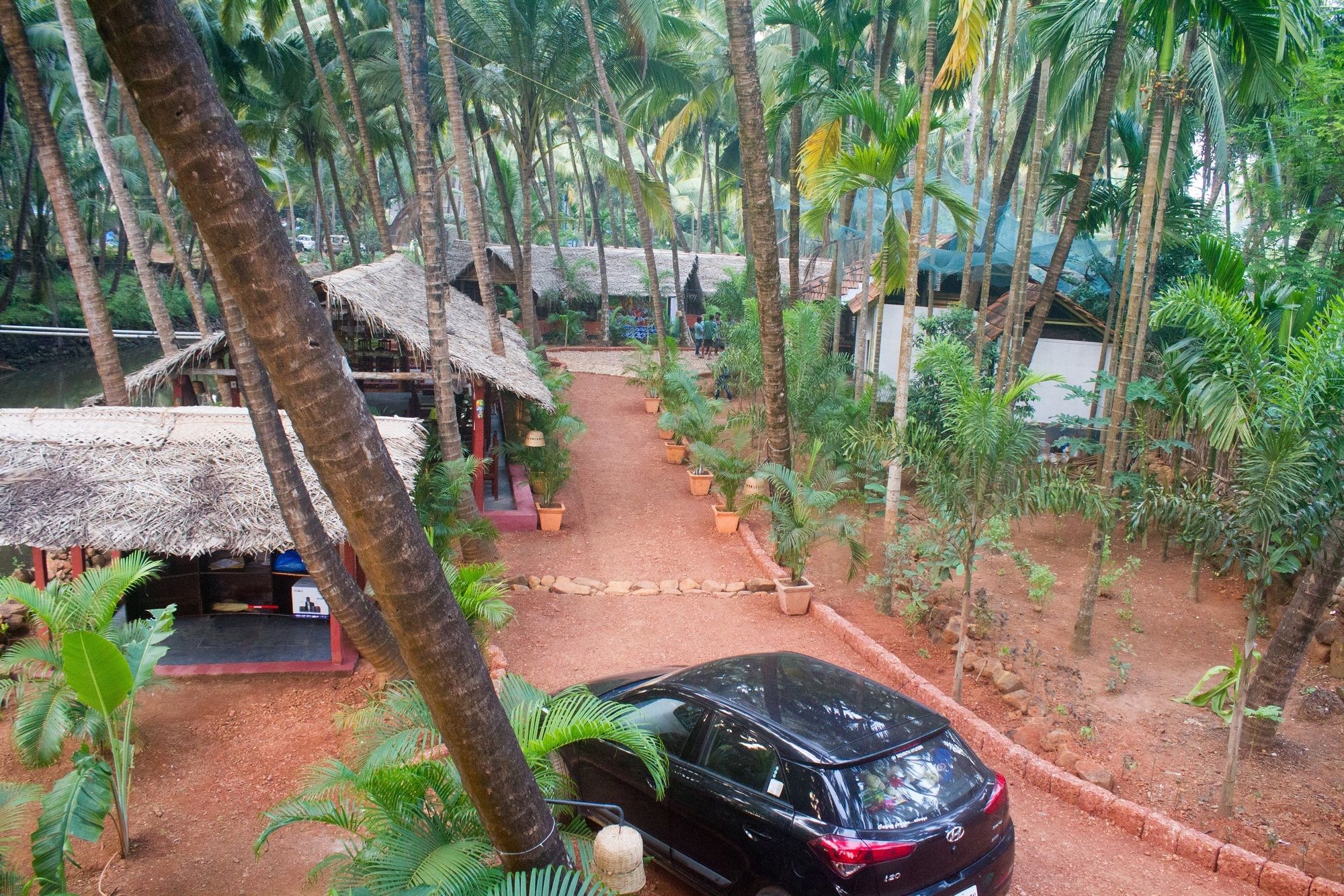 Фото Palm Trees Ayurvedic Heritage