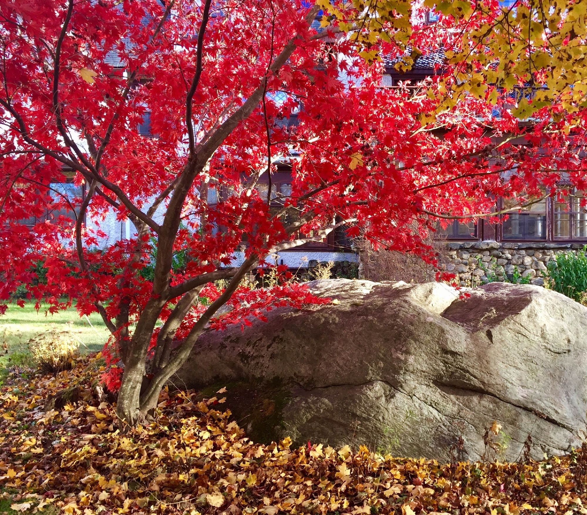 Фото Manor House Inn