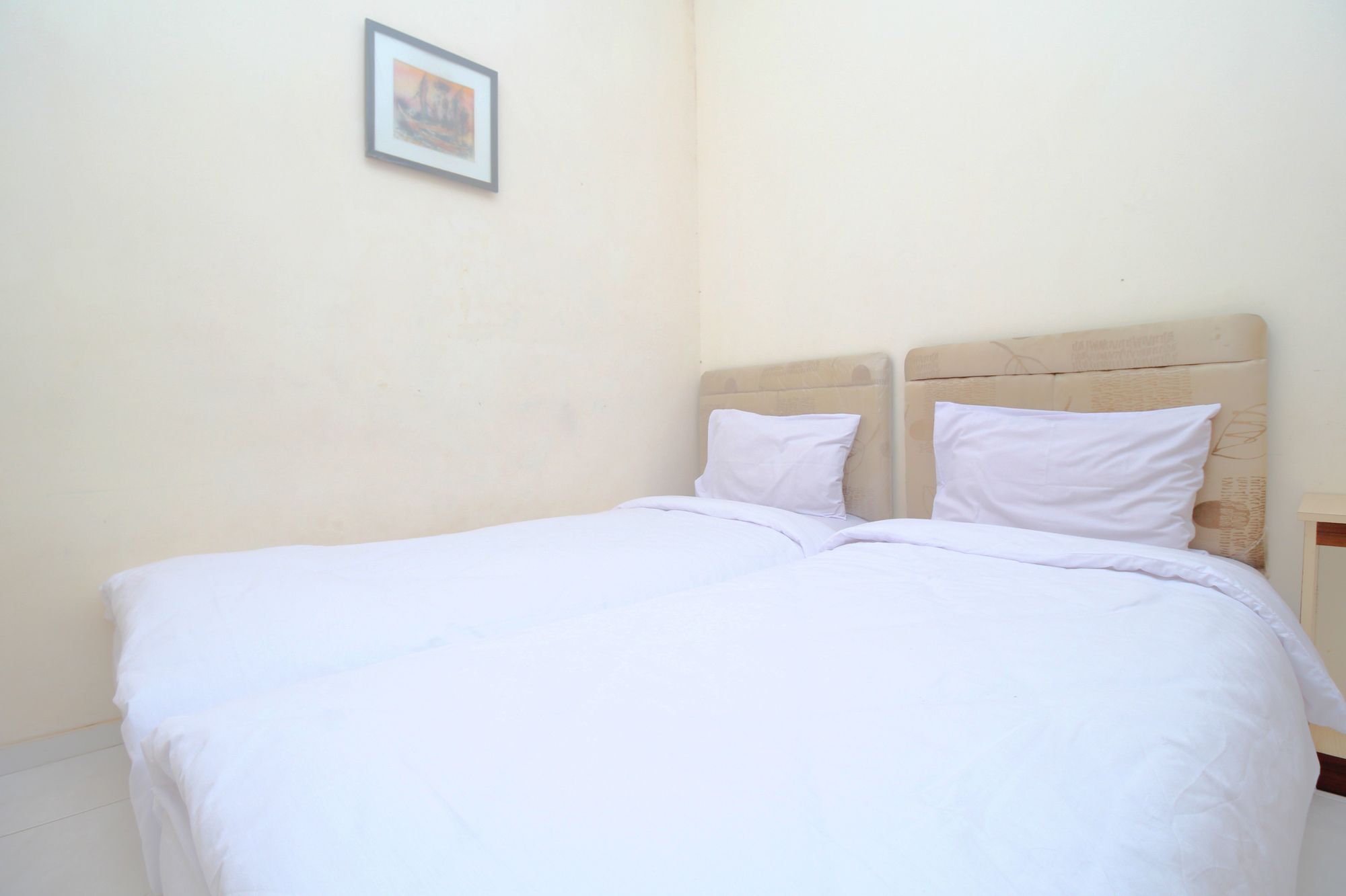 Фото Myzone Homtel