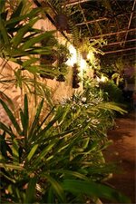 Фото Rajata Hotel