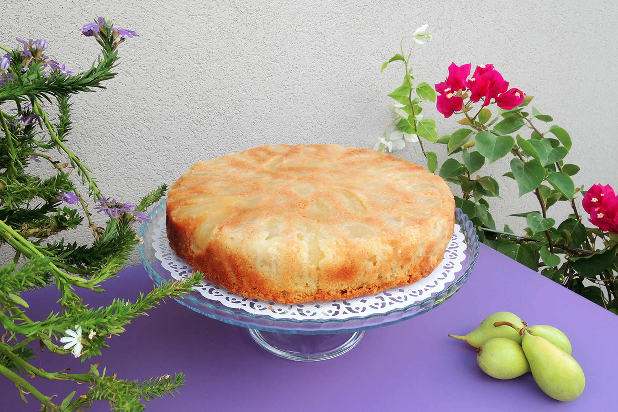 Фото TerraSole Bakery B&b