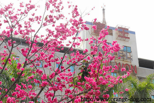 Внешний вид отеля Ful Won Hotel в Тайчжуне, фото 5