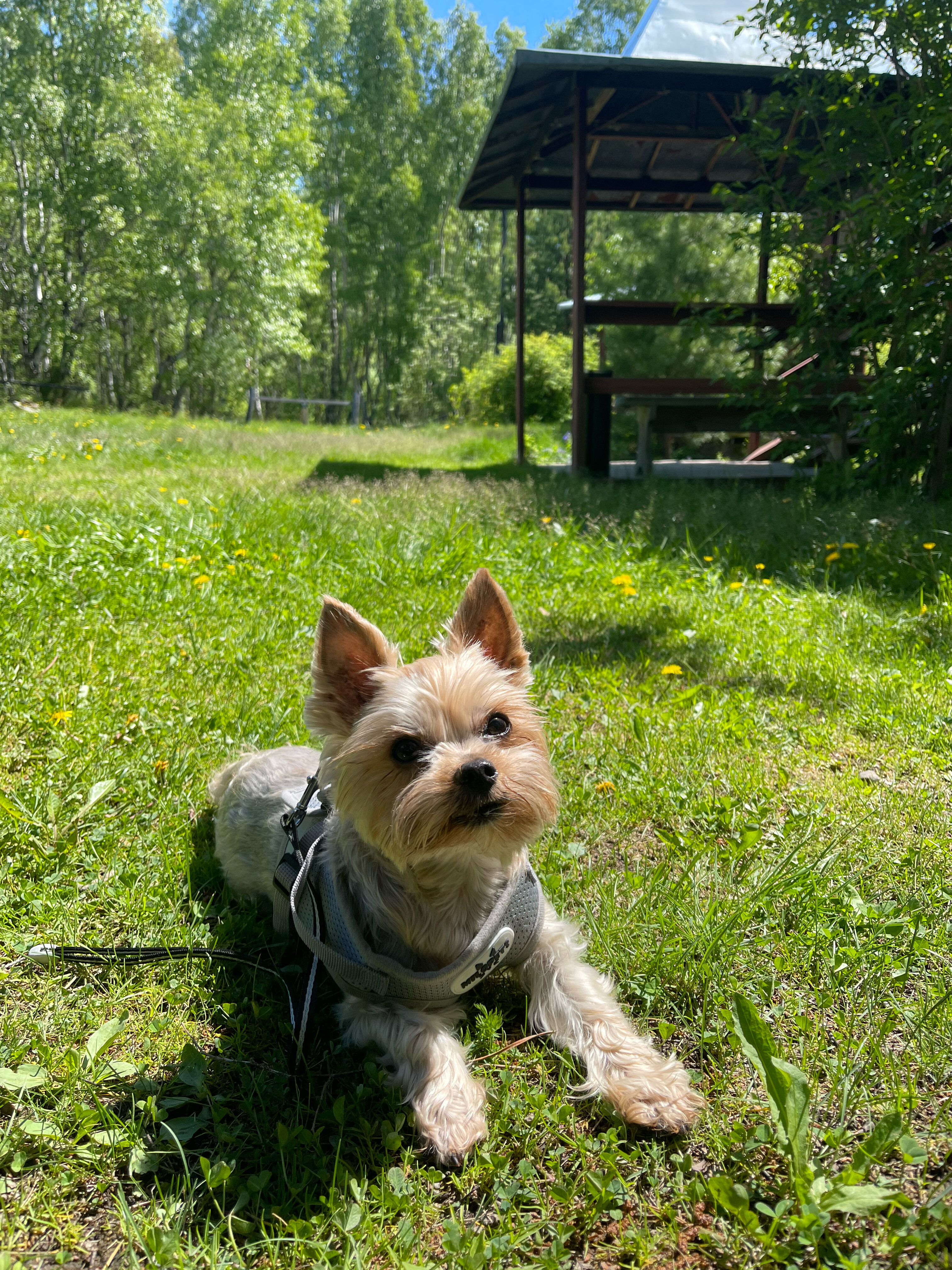 Фото Кругобайкальская