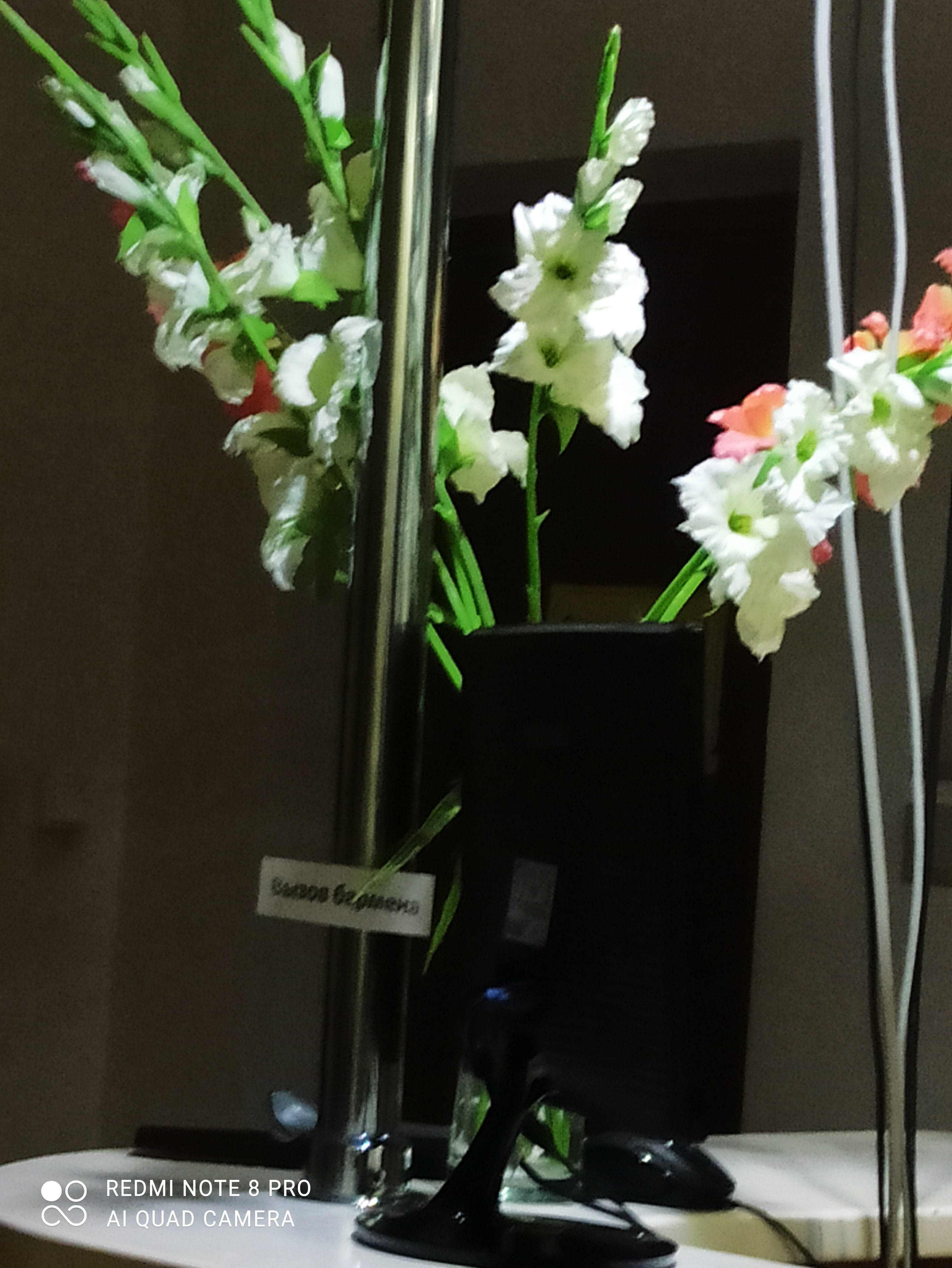 Фото Арт-Александрия