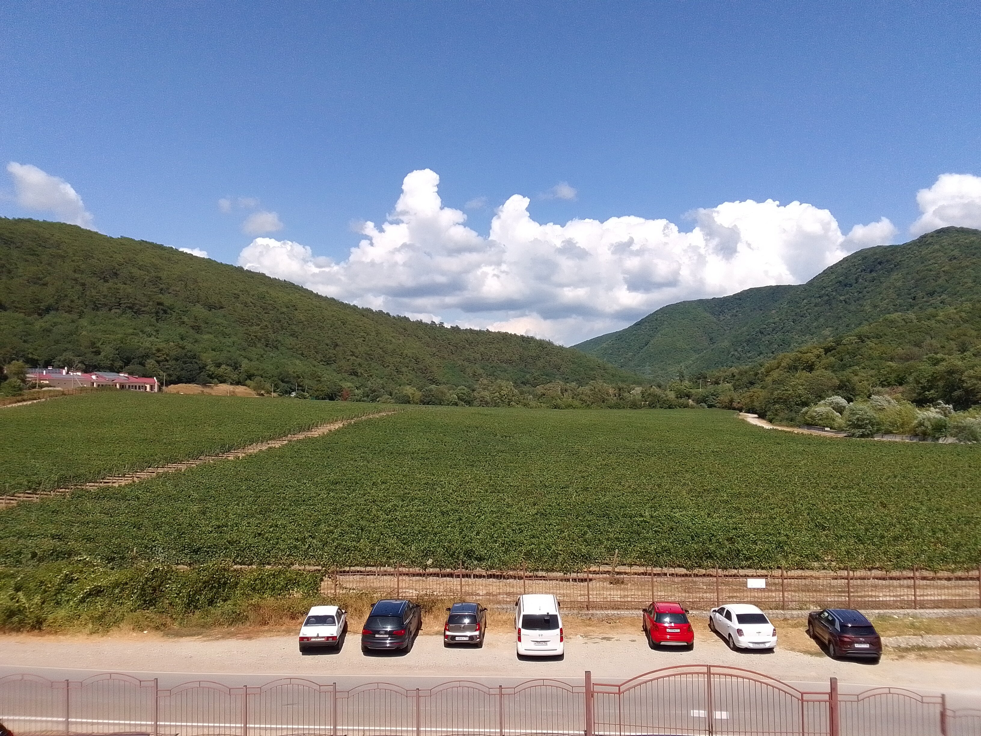 Фото Скала Парус 