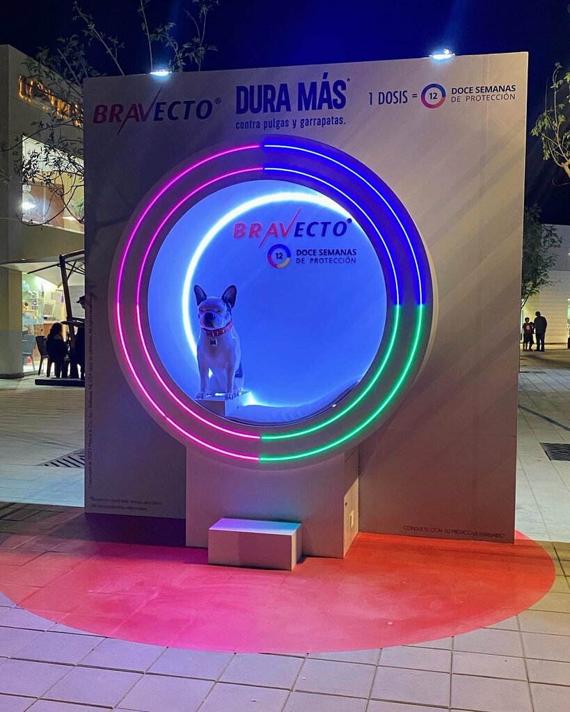 Advertising agency Create BTL, Lima, photo