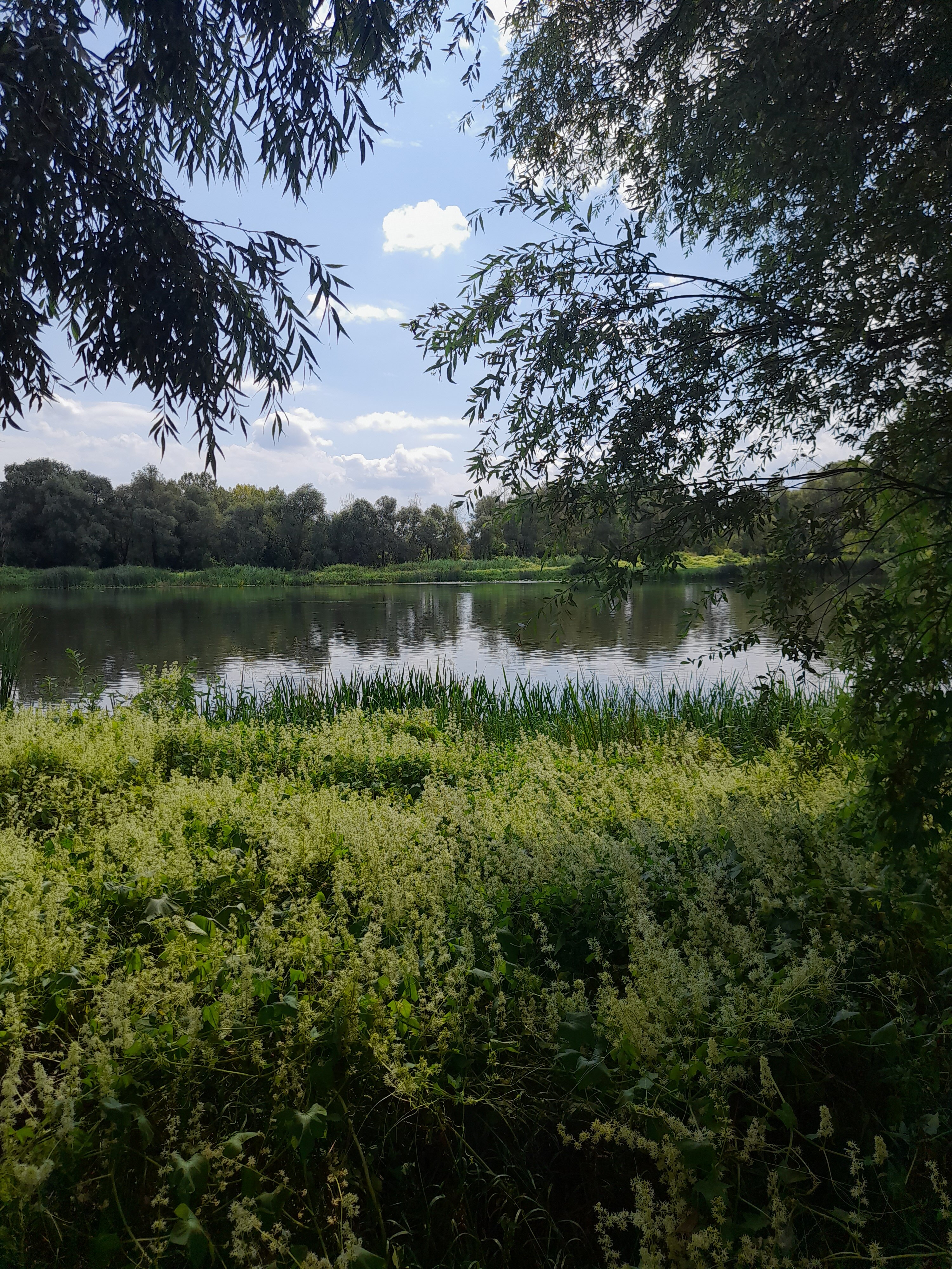 Фото На Переправе