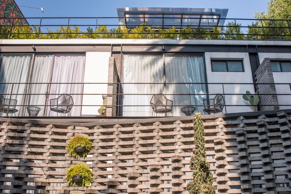 Фото Pug Seal Polanco Allan Poe